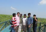 Sundarban