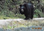 Educational Tour in Darjeeling