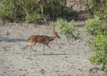 Sunderban Tour