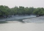 Sunderban Tour