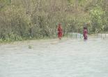 Sunderban Tour