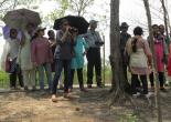 Sunderban Tour