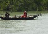 Sunderban Tour