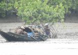 Sunderban Tour