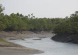 Sunderban Tour